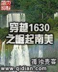 穿越1630之崛起南美顶点小说