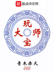 玩宝大师免费阅读