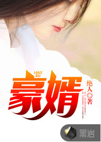 豪婿 小说