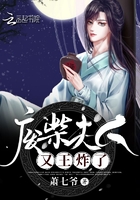 书名《废柴王妃又作妖了》