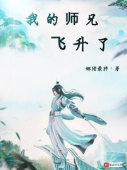 师兄不飞升