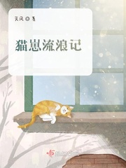 灰额猫流浪记读后感