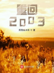 重回2003年TXT免费下载